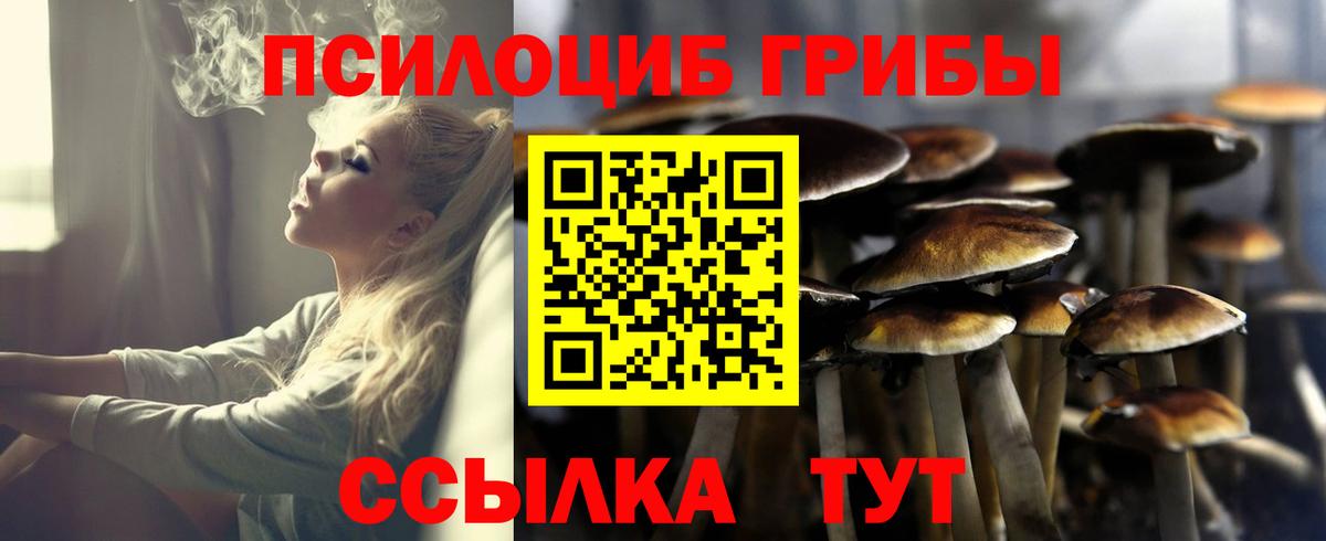 Галлюциногенные грибы Cubensis  Псилоцибиновые грибы Psilocybine cubensis  Вход с VPN  Звенигород 
