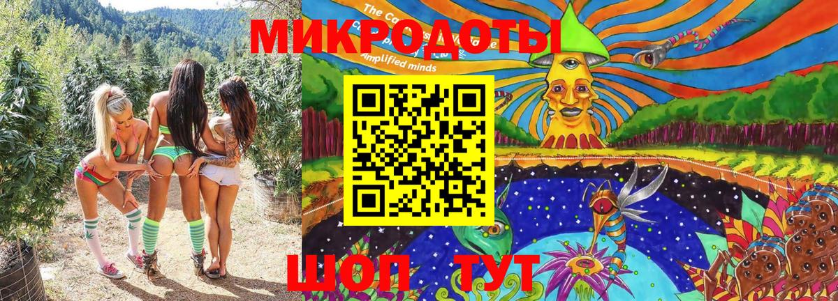 Псилоцибиновые грибы прущие грибы Звенигород